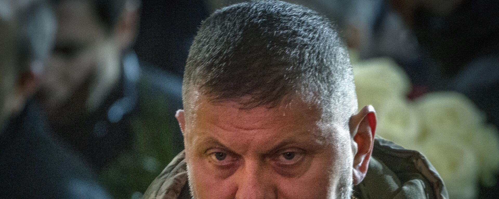 Commander-in-Chief of Ukraine's Armed Forces Valery Zaluzhny  - Sputnik भारत, 1920, 30.11.2025