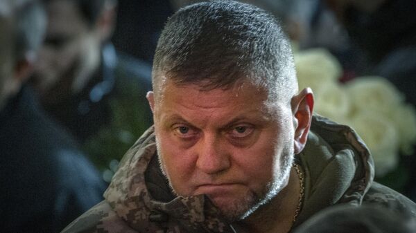 Commander-in-Chief of Ukraine's Armed Forces Valery Zaluzhny  - Sputnik भारत