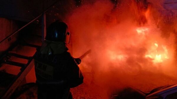 Пожарный - Sputnik भारत