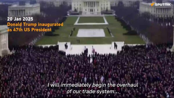 AI view on 2025 - Sputnik भारत