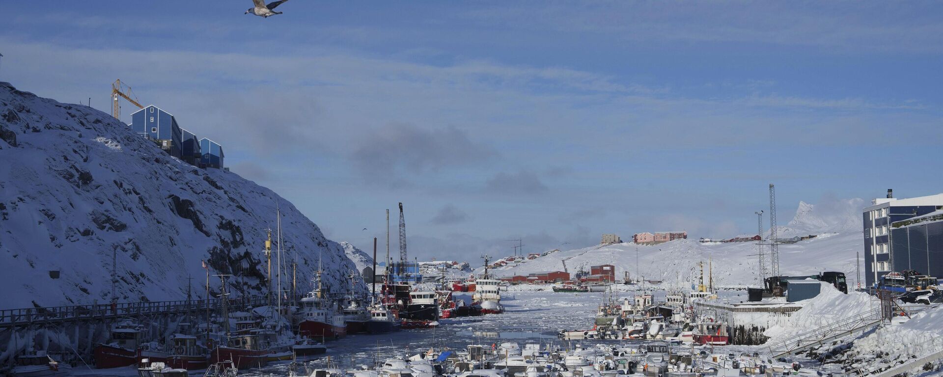 Harbour of Nuuk, Greenland, on March 4, 2025. - Sputnik India, 1920, 22.01.2026