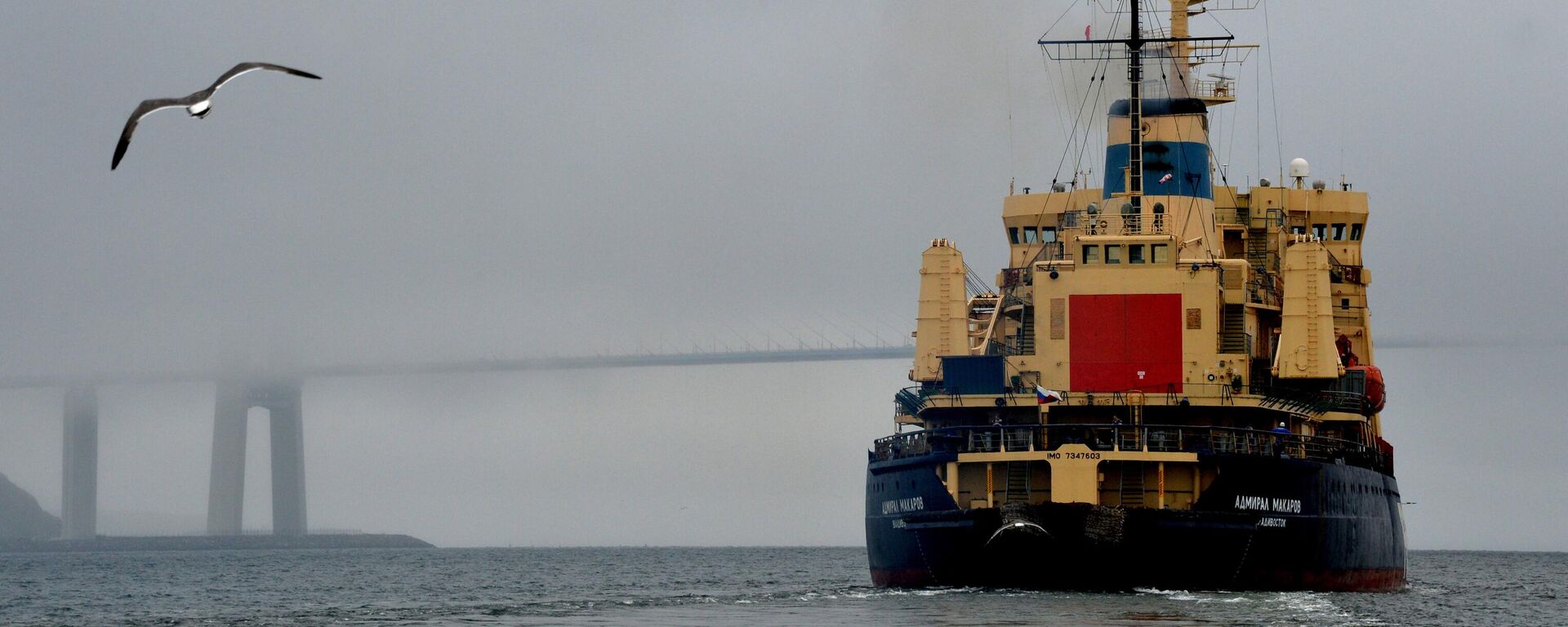 The icebreaker Admiral Makarov in the Eastern Bosphorus strait departing for the summer shipping season on the Northern Sea Route (NSR) in the eastern part of the Arctic.  - Sputnik भारत, 1920, 13.02.2026