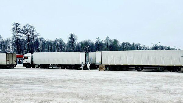 Representative image - Sputnik India