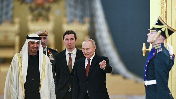 Meeting between Russian President Vladimir Putin and UAE President Mohamed bin Zayed Al Nahyan - Sputnik भारत