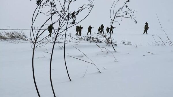 Ukrainian soldiers - Sputnik भारत