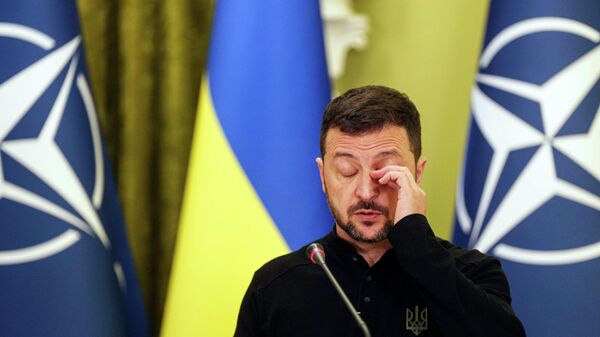 Ukraine's Volodymyr Zelensky speaks to journalists during a joint press conference with NATO Secretary General Mark Rutte in Kiev, Ukraine, Thursday Oct. 3, 2024.  - Sputnik भारत