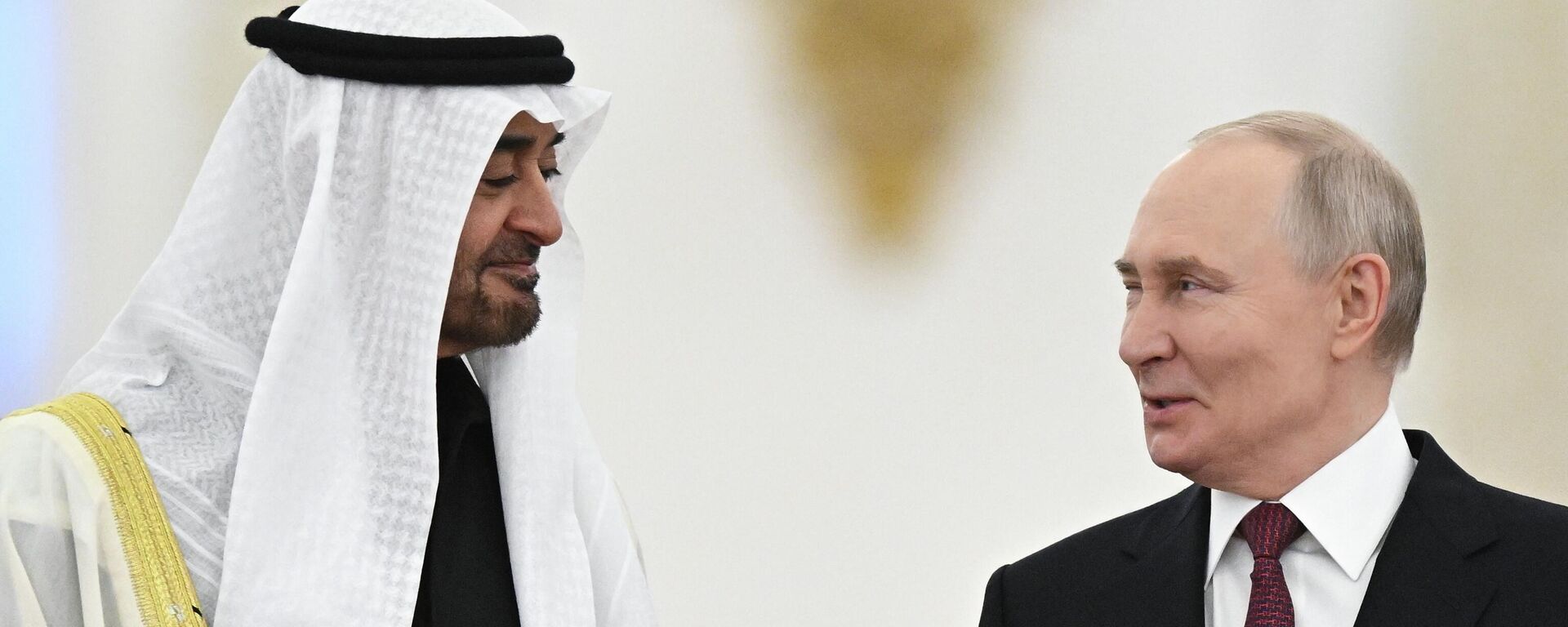 Meeting between Russian President Vladimir Putin and UAE President Mohamed bin Zayed Al Nahyan - Sputnik भारत, 1920, 11.03.2026