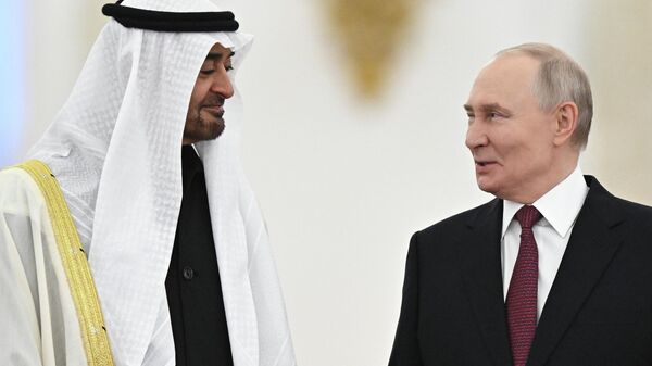 Meeting between Russian President Vladimir Putin and UAE President Mohamed bin Zayed Al Nahyan - Sputnik भारत