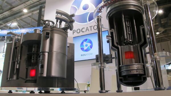 Models of nuclear reactors BREST and MBIR at Rosatom's stand  - Sputnik India