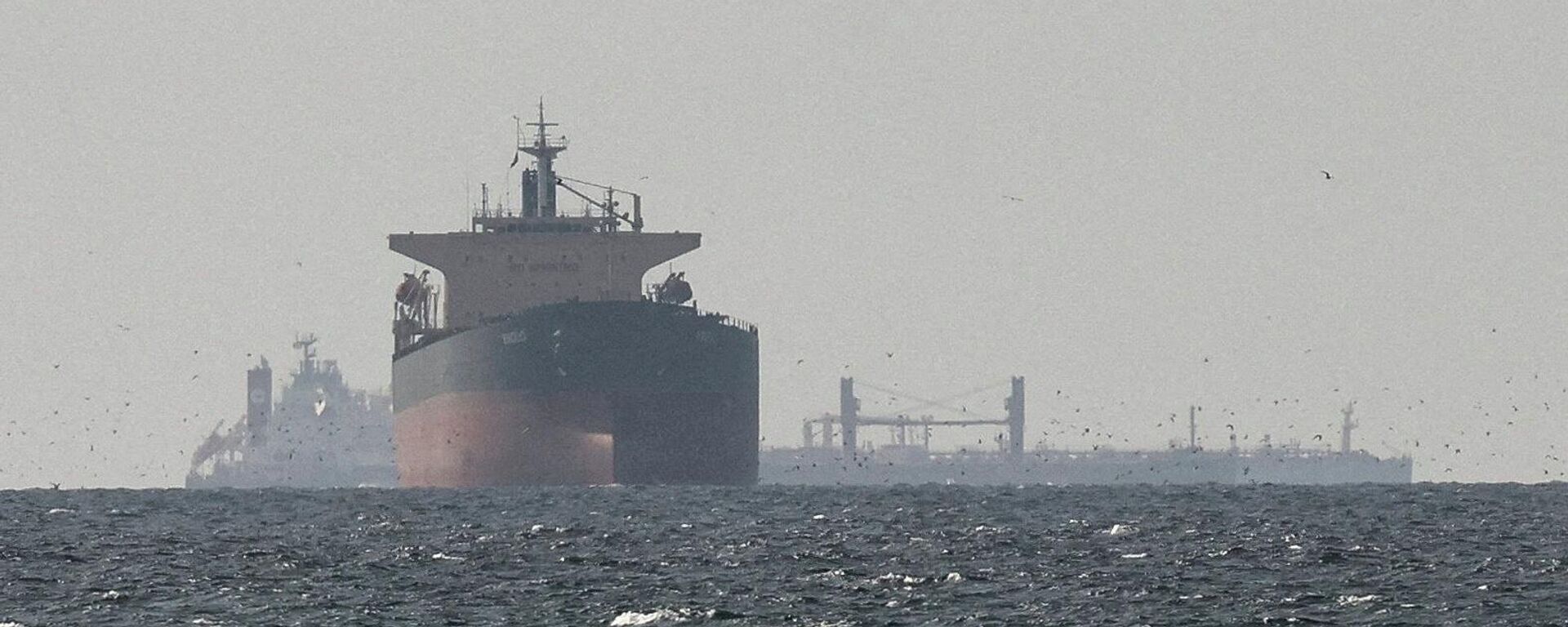 Tankers sail in the Gulf, near the Strait of Hormuz, as seen from northern Ras al-Khaimah, near the border with Oman’s Musandam governance, amid the U.S.-Israeli conflict with Iran, in United Arab Emirates, March 11, 2026.  - Sputnik भारत, 1920, 16.03.2026