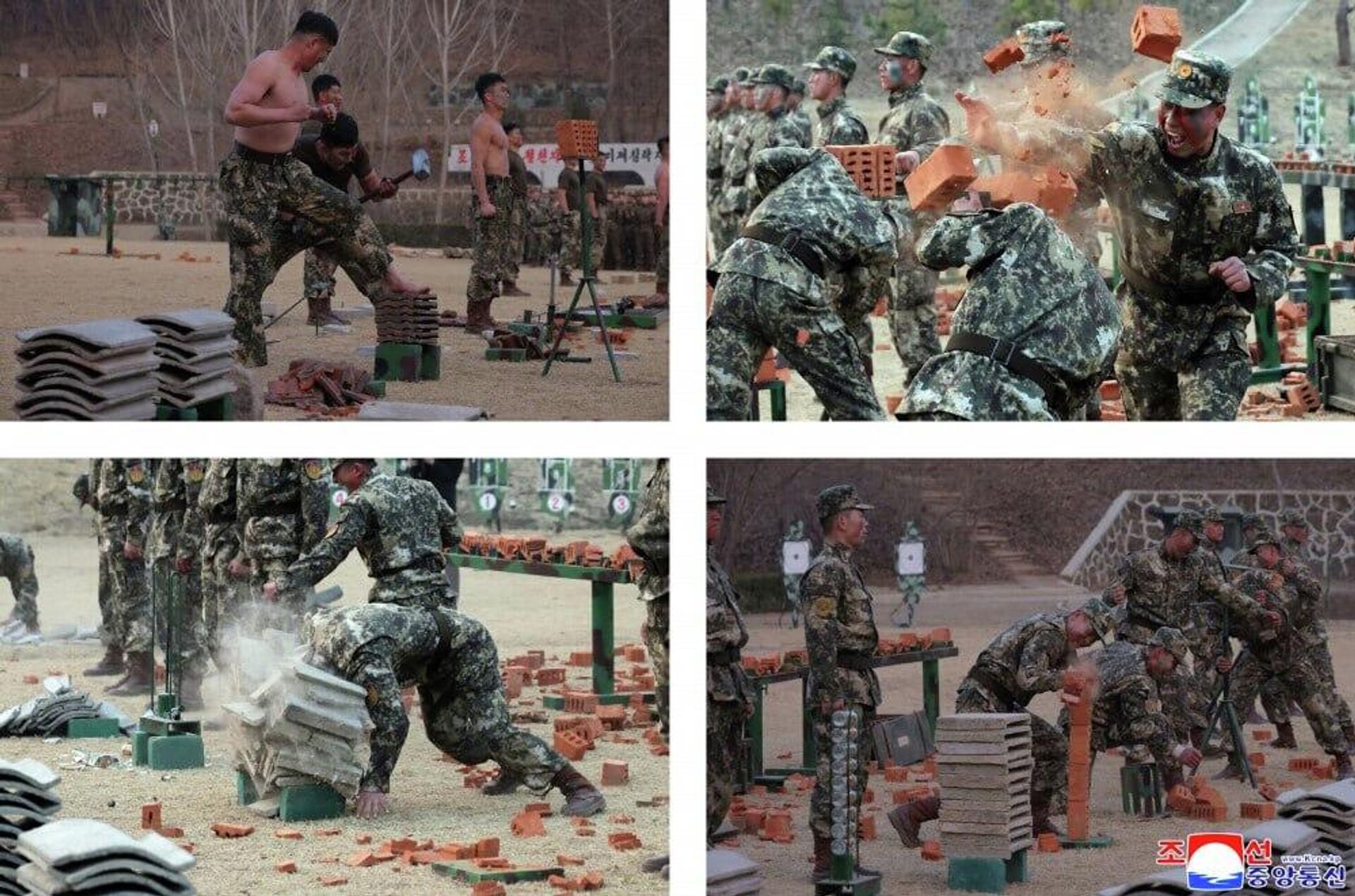 Kim Jong-un inspects special operations training of KPA elite units - Sputnik India, 1920, 30.03.2026