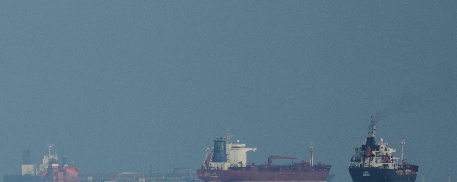 Oil tankers and cargo ships line up in the Strait of Hormuz as seen from Khor Fakkan, United Arab Emirates, Wednesday, March 11, 2026. - Sputnik भारत, 1920, 13.04.2026