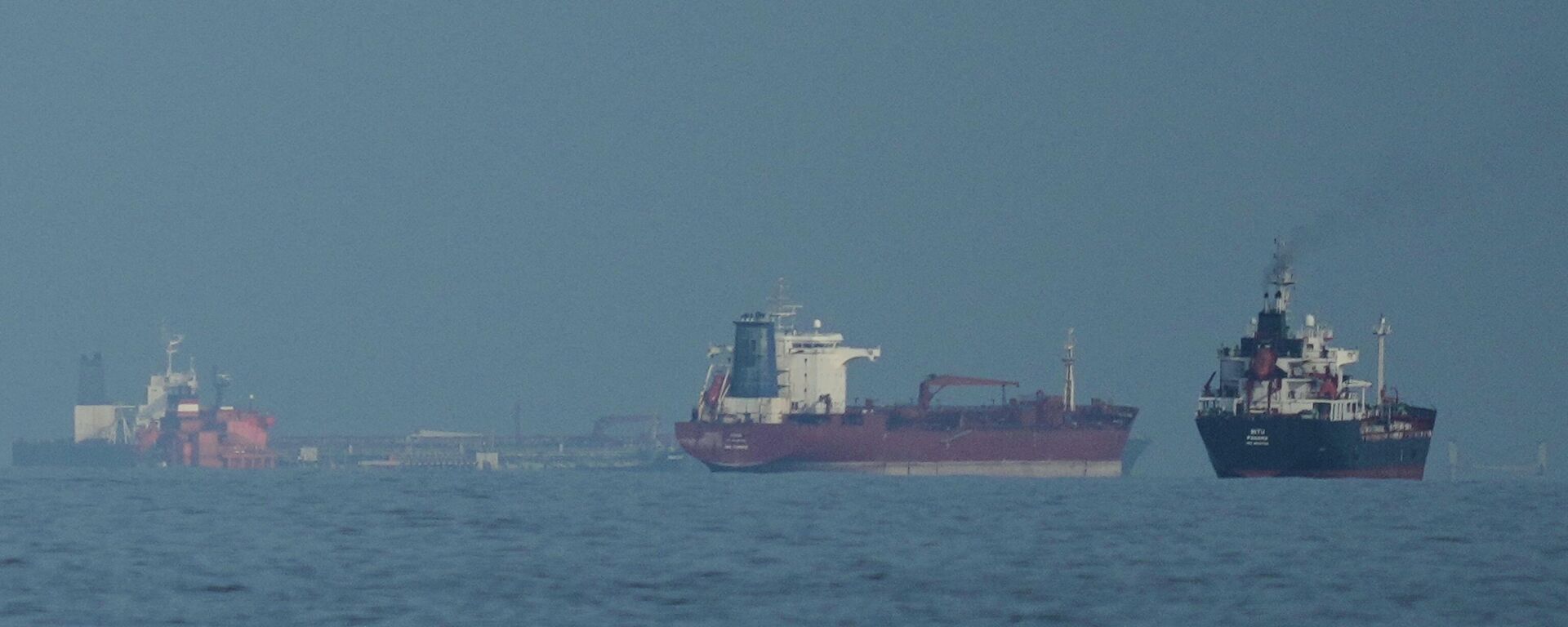Oil tankers and cargo ships line up in the Strait of Hormuz as seen from Khor Fakkan, United Arab Emirates, Wednesday, March 11, 2026. - Sputnik भारत, 1920, 13.04.2026