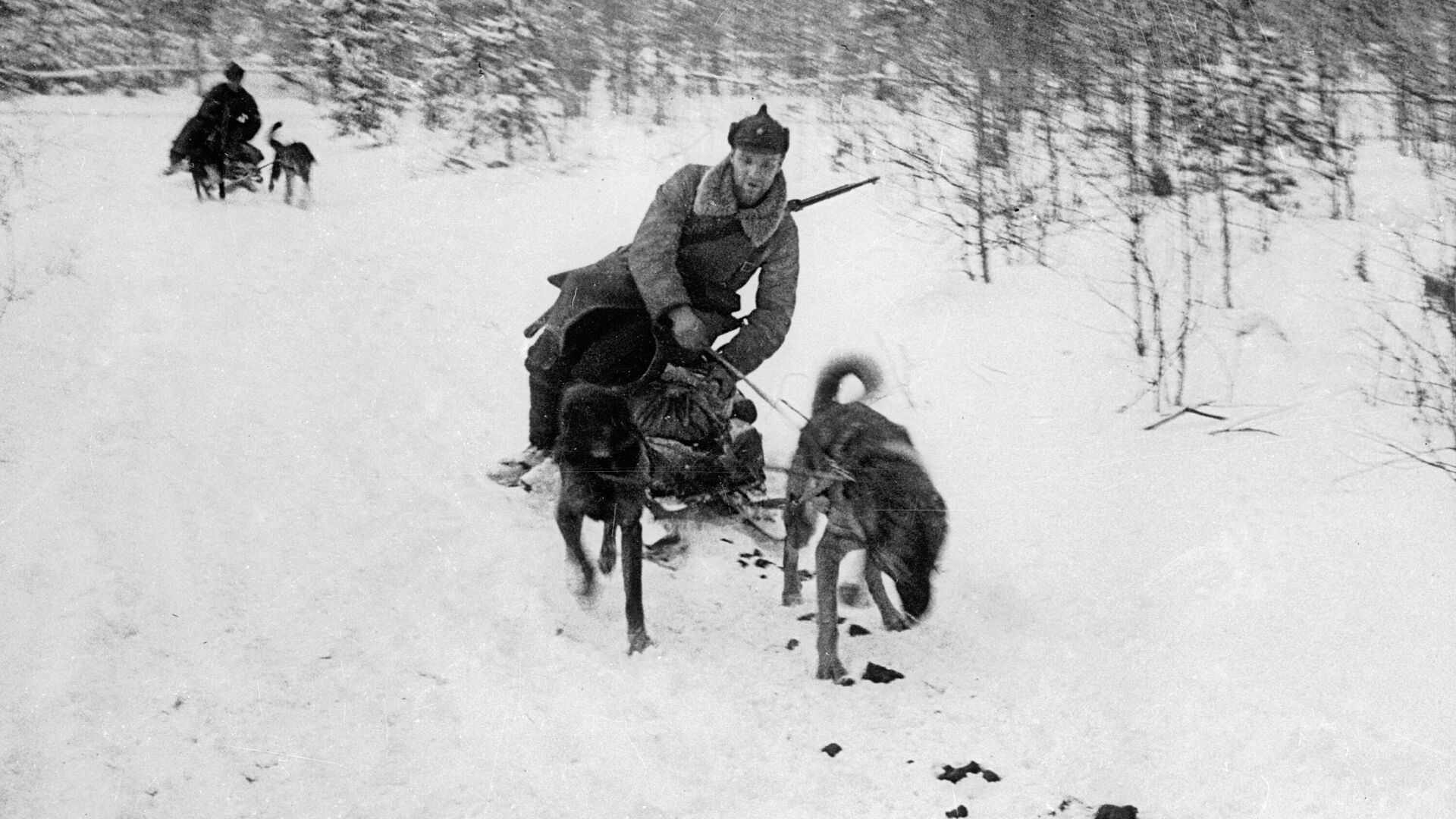 Soviet-Finnish War 1939-1940. Dog sled in service with the Red Army in the Karelian Isthmus area. - Sputnik भारत, 1920, 09.05.2026