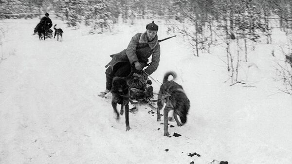 Soviet-Finnish War 1939-1940. Dog sled in service with the Red Army in the Karelian Isthmus area. - Sputnik भारत
