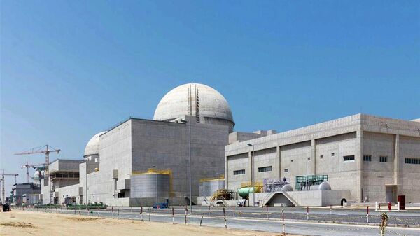 This undated photograph released by the United Arab Emirates' state-run WAM news agency shows the under-construction Barakah nuclear power plant in Abu Dhabi's Western desert. - Sputnik भारत