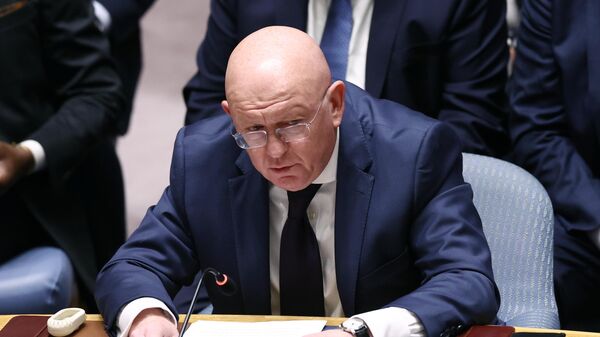 Russia's Permanent Representative to the UN Vasily Nebenzya said during a United Nations Security Council meeting, New York - Sputnik India