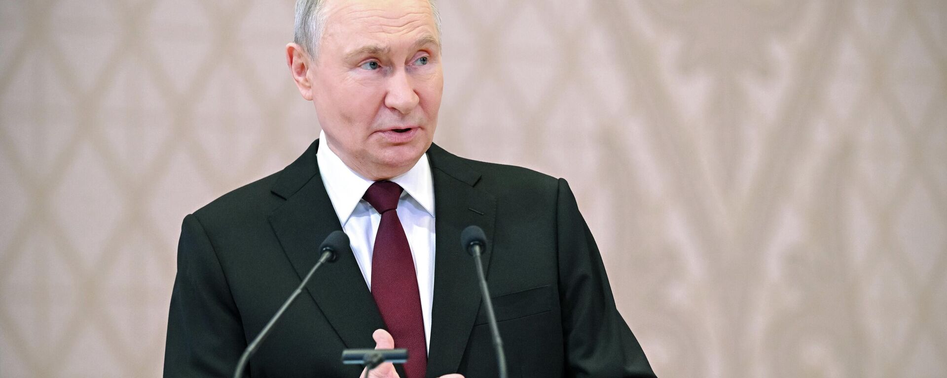 Russian President Vladimir Putin  - Sputnik India, 1920, 29.05.2026