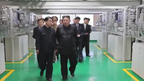 🚨🇰🇵 Kim Jong-un inspects new nuclear materials production factory - Sputnik India