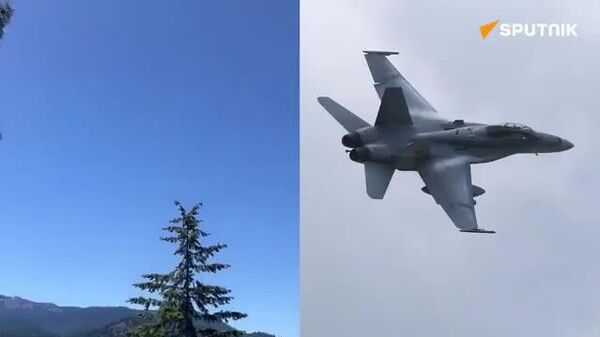 🚨🇺🇸$29M+ US Marine F/A-18 Hornet crashes in Washington state - Sputnik India