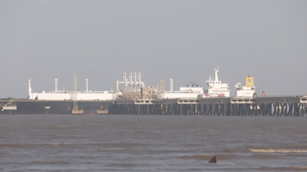 A still from a video circulating on social media shows LNG tanker Disha at Dahej Port in Gujarat. - Sputnik भारत