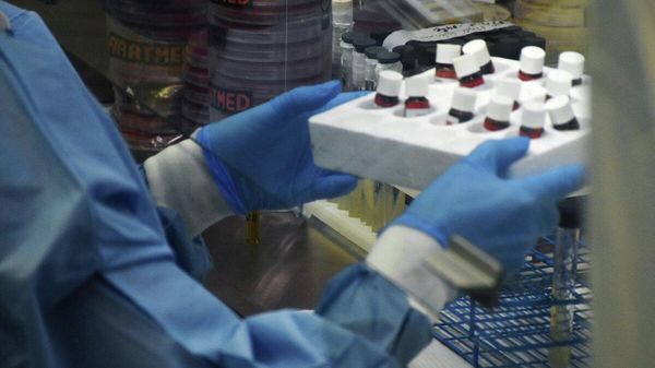 🚨🇷🇺Russia uncovers new evidence of biolabs in Ukraine - Sputnik India