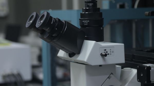 Optical microscope of the SSU Laboratory of Optics and Biophotonics - Sputnik भारत