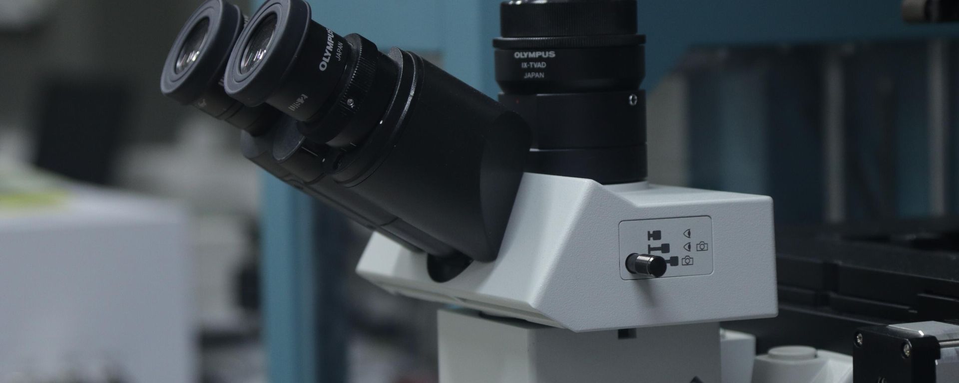 Optical microscope of the SSU Laboratory of Optics and Biophotonics - Sputnik भारत, 1920, 24.06.2026