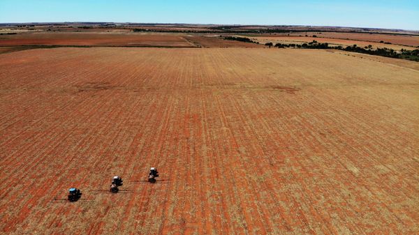 Farm employees spread fertilizer on a farm in Gerdau, North West province, South Africa, Nov. 19, 2018 Farm employees spread fertilizer on a farm in Gerdau, North West province, South Africa, Nov. 19, 2018 - Sputnik India