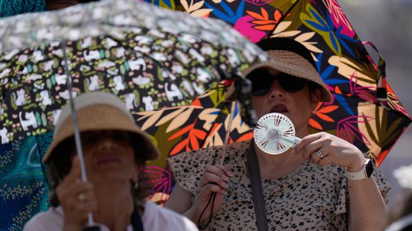 Faithful shelter from the hot sun as Pope Leo's XIV arrives for his weekly general audience in St. Peter's Square at The Vatican, Wednesday, June 24, 2026. (AP Photo/Alessandra Tarantino) - Sputnik India