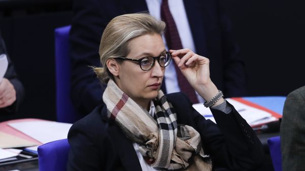 Alice Weidel parliament faction co-leader of the Alternative for Germany, AfD, party, arrives at the German parliament Bundestag prior to a debate about refugee policy in Germany, in Berlin, Friday, Jan. 19, 2018 - Sputnik India