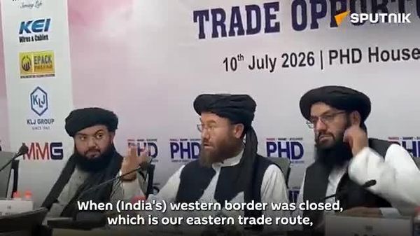 🚨🇮🇳 Iranian ports remain key option for India-Afghan trade: Afghan Agriculture Minister - Sputnik India