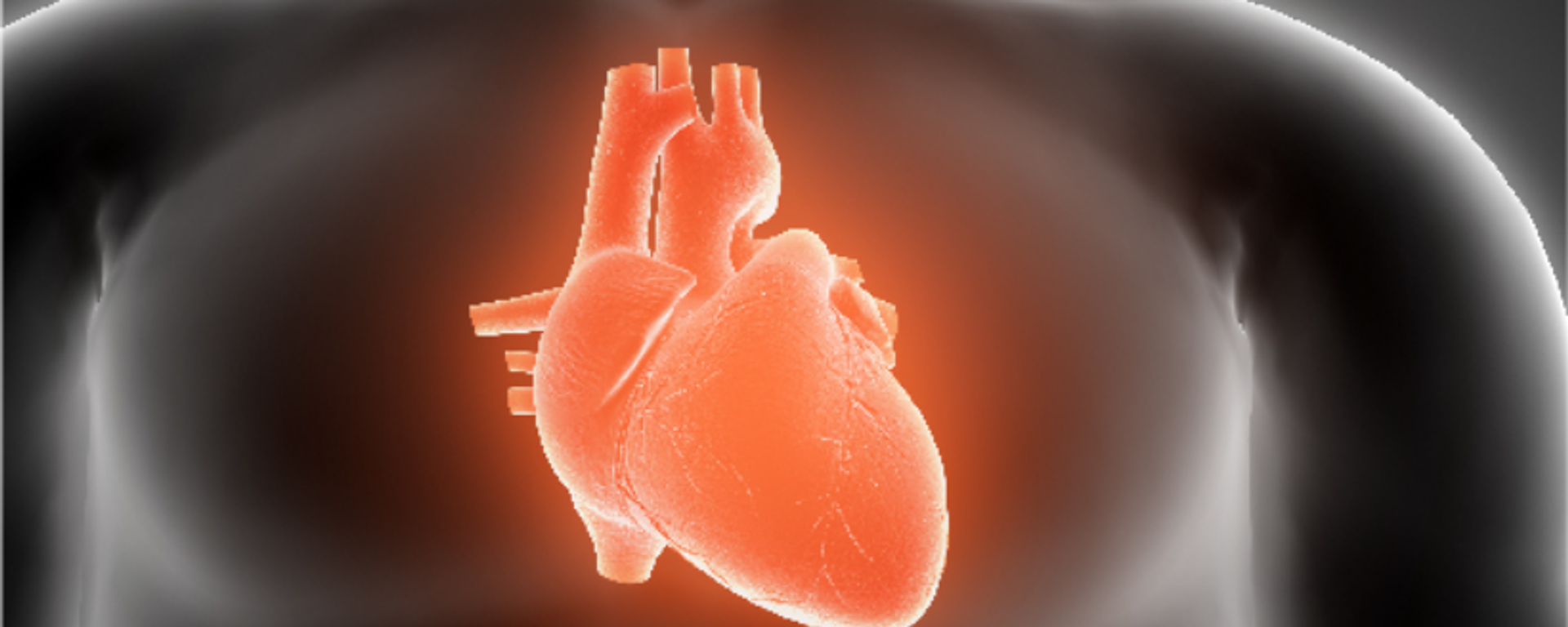 Heart Diseases  - Sputnik भारत, 1920, 14.07.2026