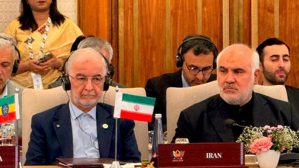 Iran's Interior Minister Eskandar Momeni attended the BRICS Disaster Risk Reduction (DRR) Ministerial Meeting in New Delhi on Friday. - Sputnik India