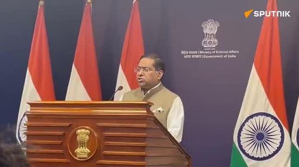 Indus Waters Treaty to remain in abeyance: MEA - Sputnik India