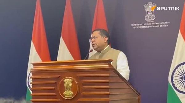 India condemns religiously motivated attack on Indian citizen in the US: MEA - Sputnik India