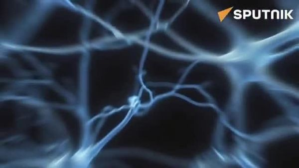 Russian scientists built a physical electronic system where two artificial neurons talk to each other — and sync up — just like the ones in your brain - Sputnik India