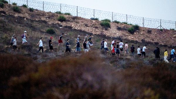 People walk past barbed wire in a forest in the northern Moroccan town of Fnideq as they attempt to cross to the Spanish enclave of Ceuta, Thursday, July 30, 2026. - Sputnik India
