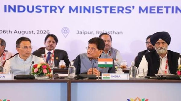 Union Minister Piyush Goyal - Sputnik भारत