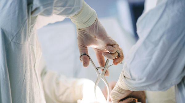 
Spinal сord decompression surgery at Russia’s Ivanovo regional hospital for war veterans. File photo
 - Sputnik भारत