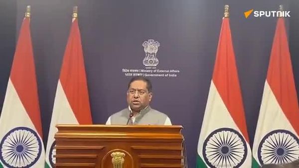 India provides latest update on its citizens in Nepal and China - Sputnik India