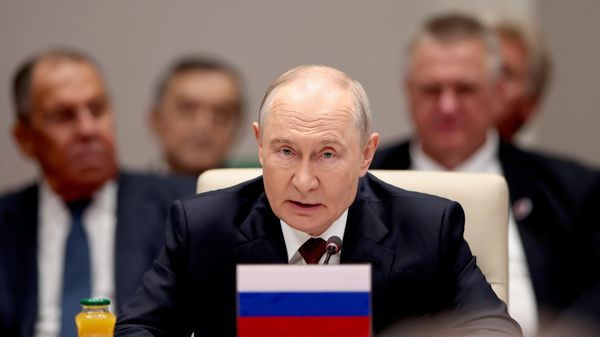 Vladimir Putin - Sputnik भारत
