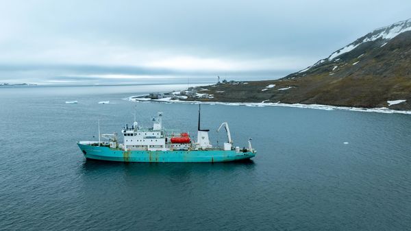 Roshydromet vessel Professor Molchanov - Sputnik भारत