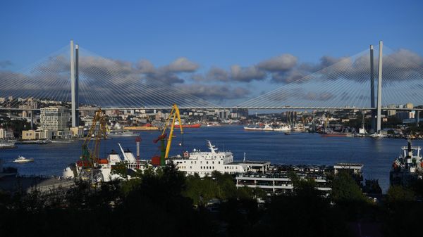The Golden Bridge across the Golden Horn Bay in Vladivostok. - Sputnik India