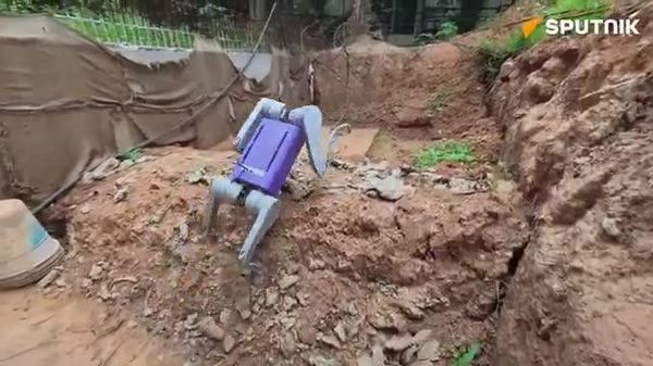 India's xTerra Robotics debuts 'DHAV' quadruped for Industrial surveillance 🔸 Powered by 12 proprietary QDD actuators 🔸 Delivers up to ~80 Nm of joint torque 🔸 Supports payloads of up to 10 kg - Sputnik India