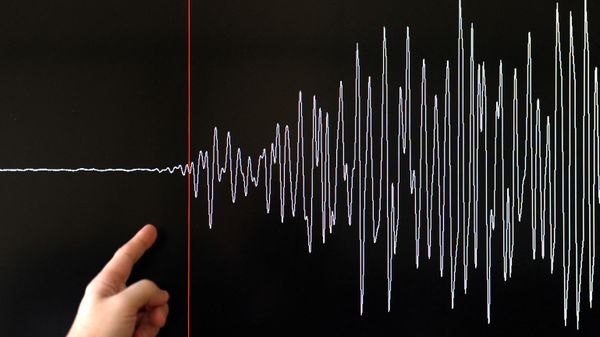 Earthquake seismograph diagram - Sputnik India