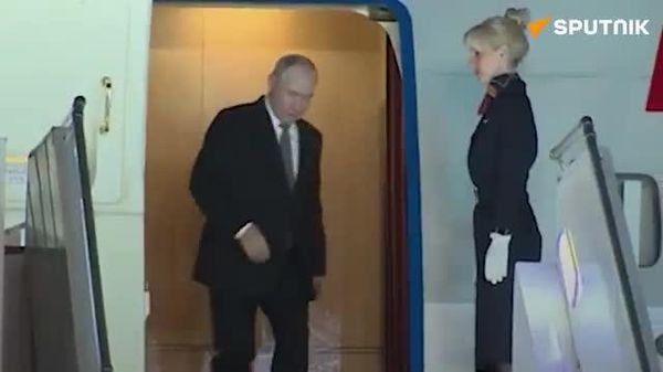 Putin winning hearts in India - Sputnik India