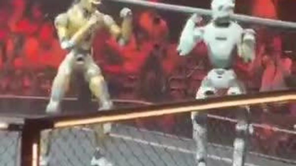 MMA of the future: two autonomous humanoid robots in cage in China - Sputnik India