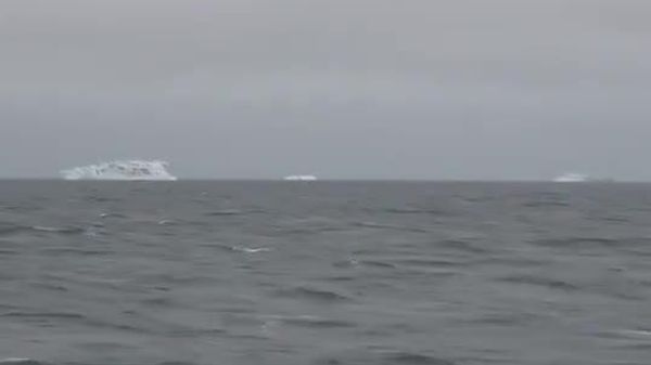 Russia's Northern Fleet charts route through Arctic that has never been sailed - Sputnik India