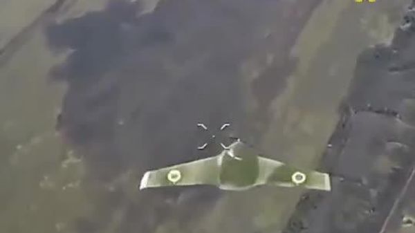 Russian FPV interceptor drones ram Ukrainian fixed-wing UAVs and loitering munitions in the Krasny Liman direction - Sputnik India